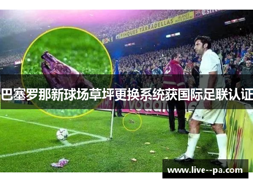 巴塞罗那新球场草坪更换系统获国际足联认证 巴塞罗那新球场草坪更换系统获国际足联认证