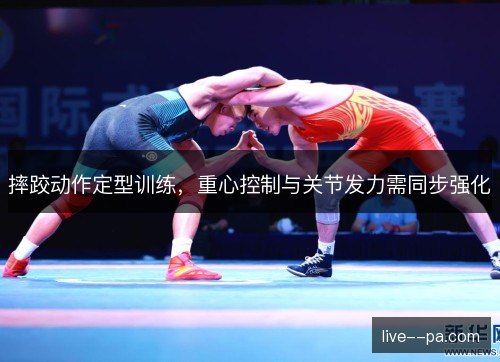 摔跤动作定型训练，重心控制与关节发力需同步强化